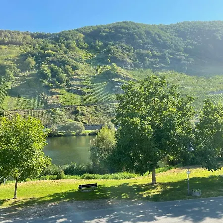 Altes Winzerhaus Am Moselufer - Goldgrube Appartement *