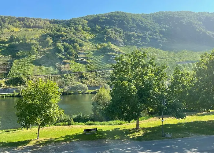 Altes Winzerhaus Am Moselufer - Goldgrube アパート *