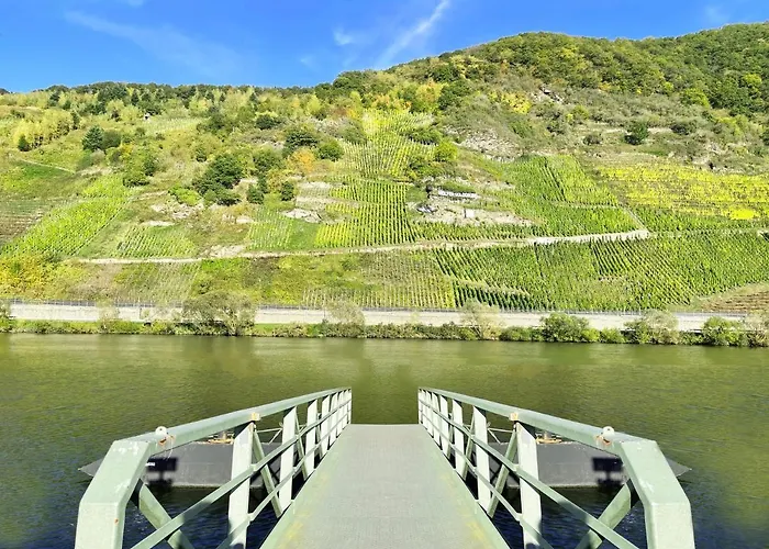 Altes Winzerhaus Am Moselufer - Goldgrube Апартаменты Трабен-Трарбах